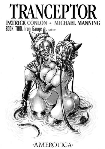 Transcepter - Book 2: Iron Gauge cover