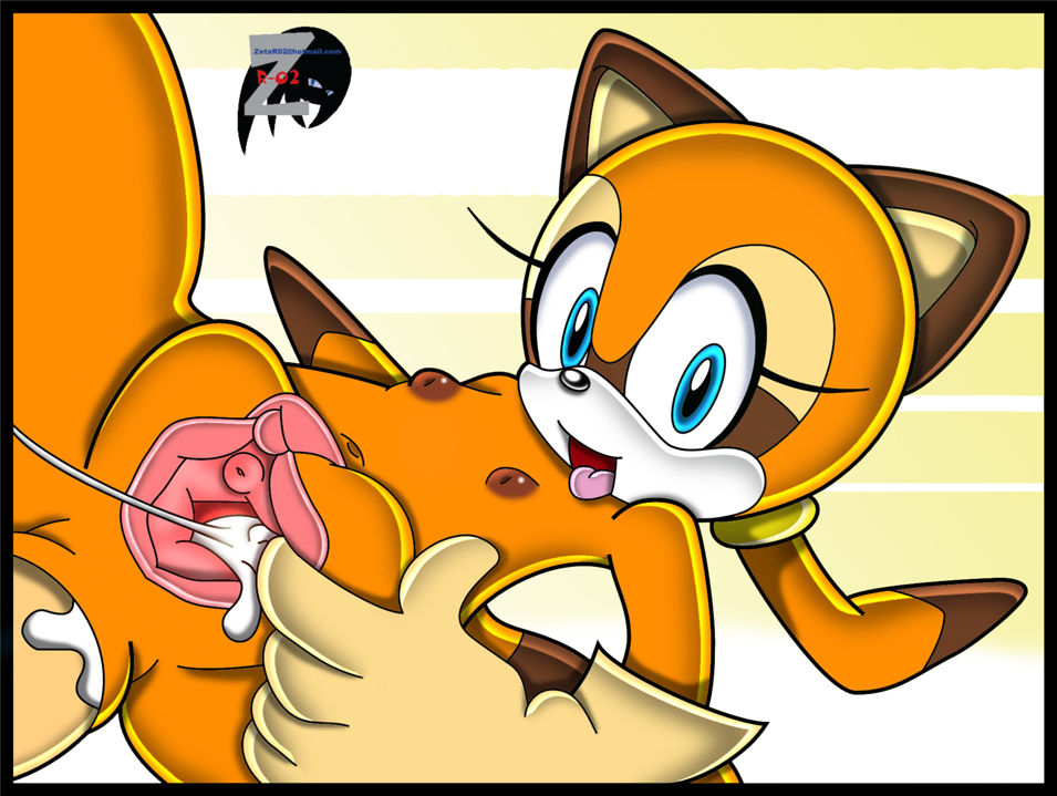 sonic hentai mix page 10 full