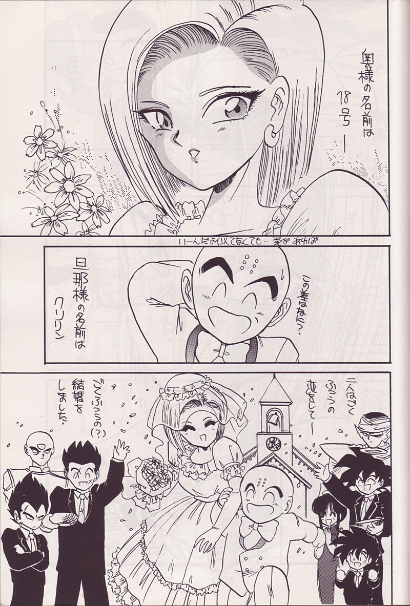 P-ARK page 2 full