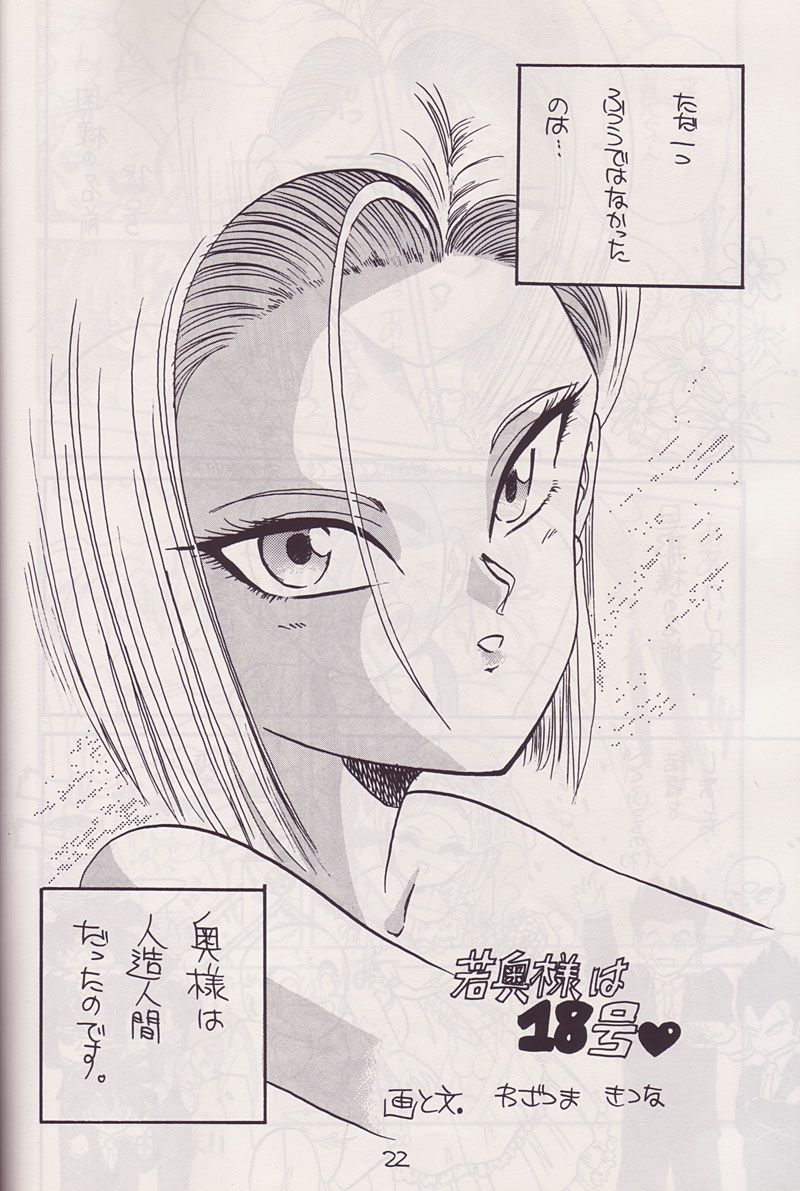 P-ARK page 3 full