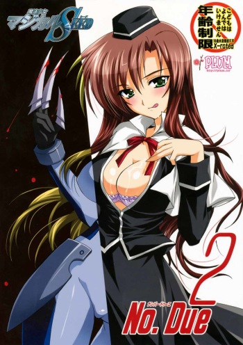 Mahou Shoujo MAGICAL SEED No.Due Mahou Shoujo Lyrical Nanoha cover