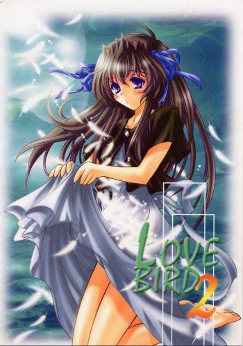 LOVE BIRD 2 cover
