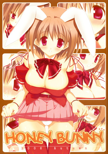Honey Bunny cover