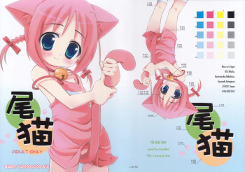 Bineko cover