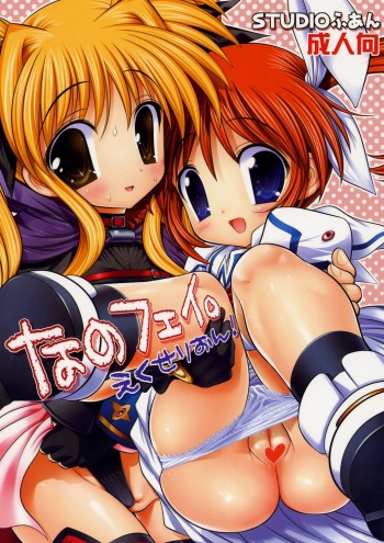 NanoFei. Excelion! cover