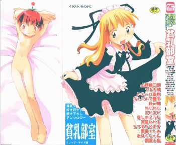 Hin-nyu v20 - Hin-nyu Bushitsu cover