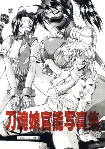刀魂娘官能写真集 cover
