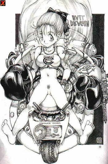 Dragon Ball - Bra cover