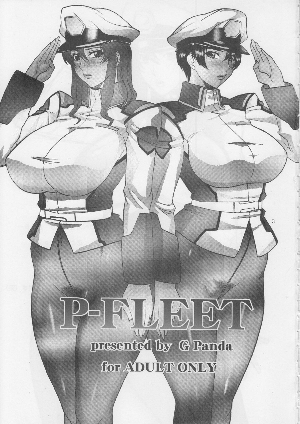 P-FLEET page 2 full