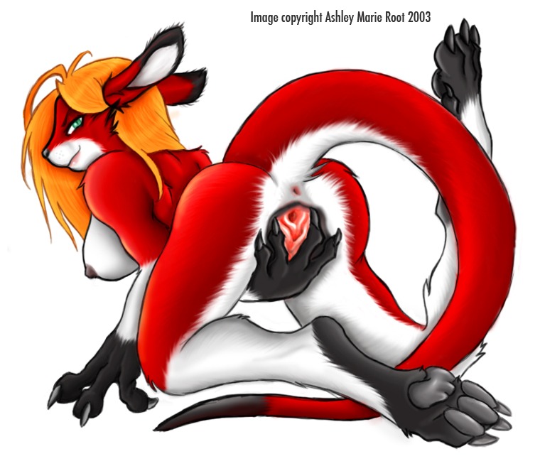 Kangaroo page 2 full