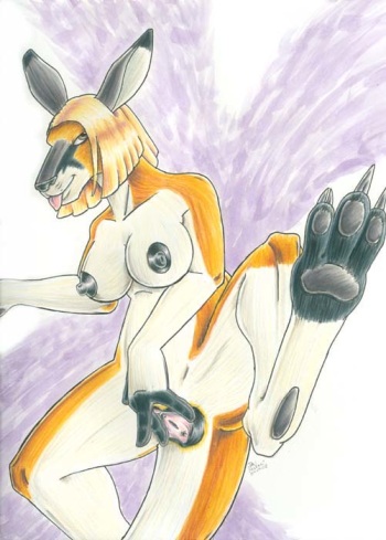 Kangaroo cover