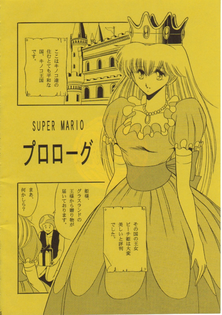Super Mario Collection page 3 full