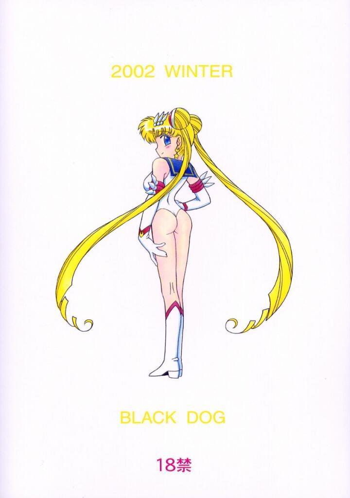 Tsukino Usagi page 2 full