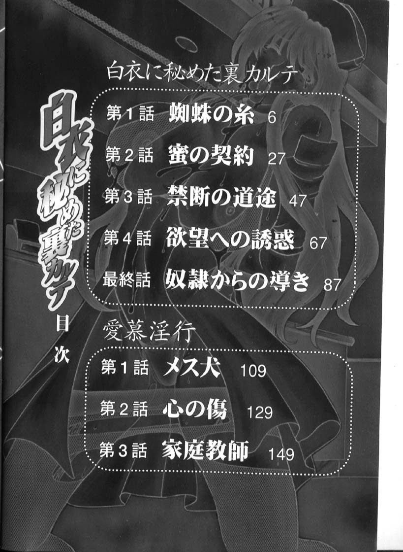 Hakui ni Himeta Ura Karte page 9 full
