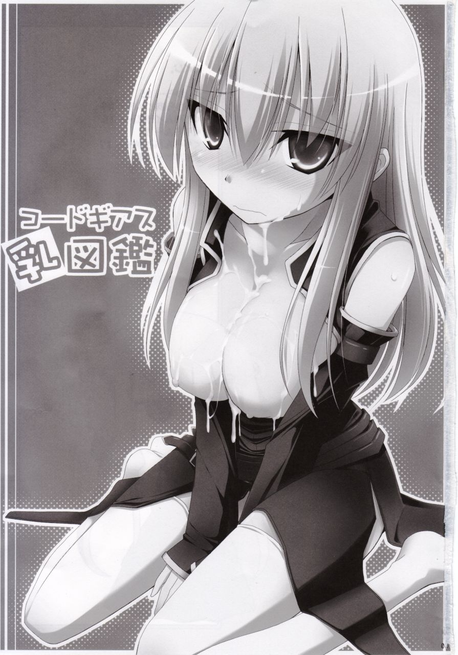 Code Geass Chichi Zukan page 3 full
