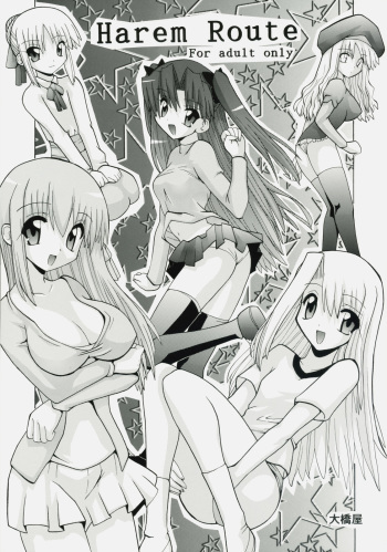 Harem Route cover