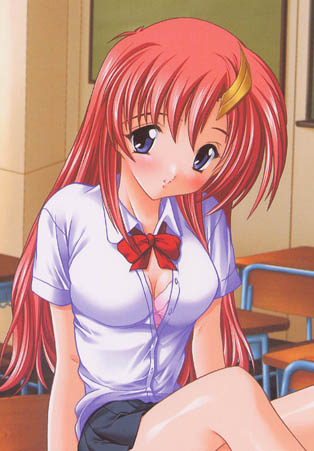 Gundam Seed/Destiny page 7 full