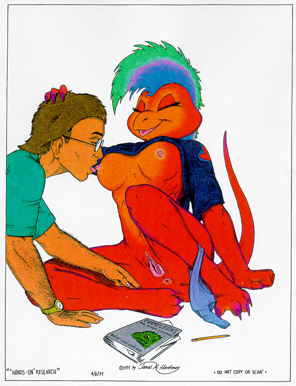 Mixed Breeds page 7 full