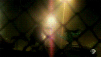 gif cover