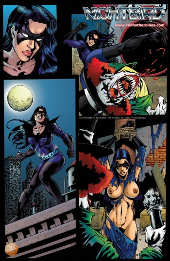 Nightbird cover