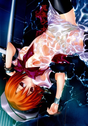 Shuushuu Shoujo cover