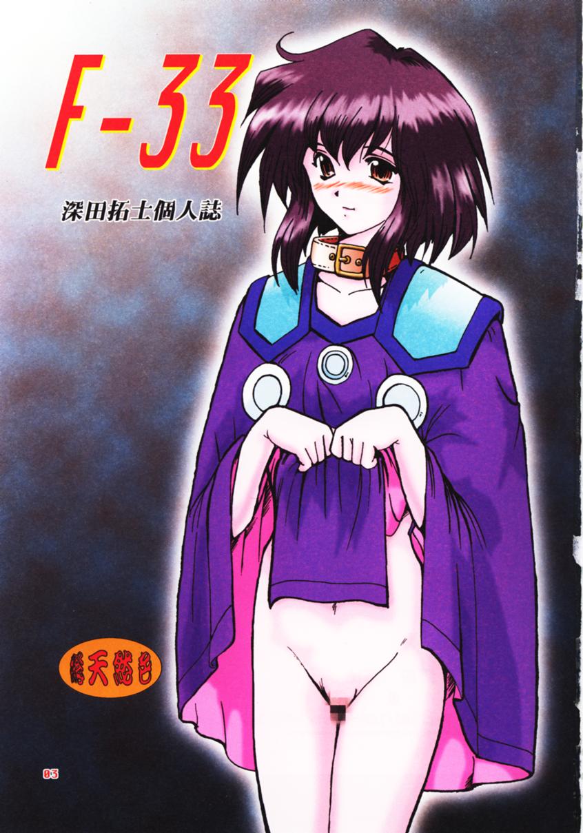 F-33 page 2 full