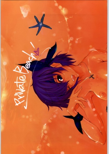 Private Beach! cover