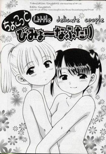 Chokotto Bimyou na Futari | Little Delicate Couple cover