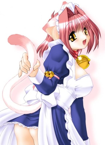 Random Catgirls 11 cover