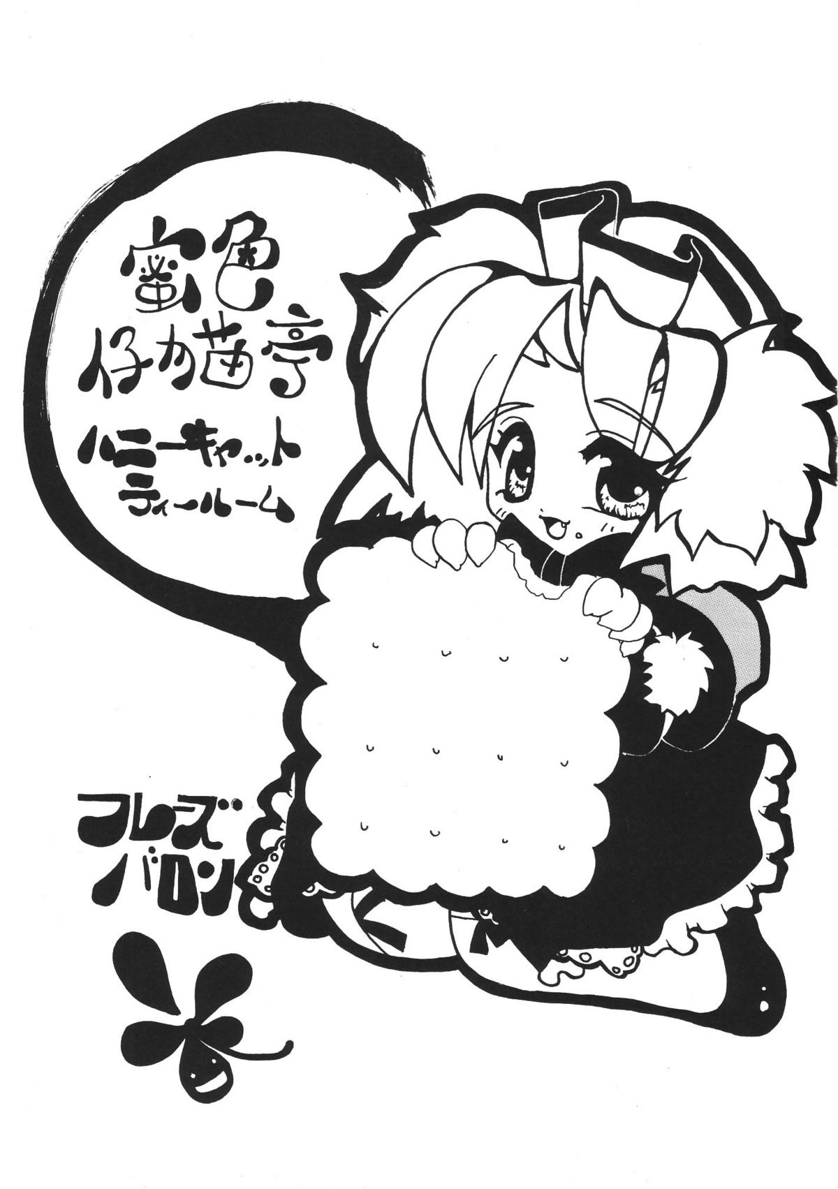 Mitsu Neko Tei Honey Cat Room page 5 full