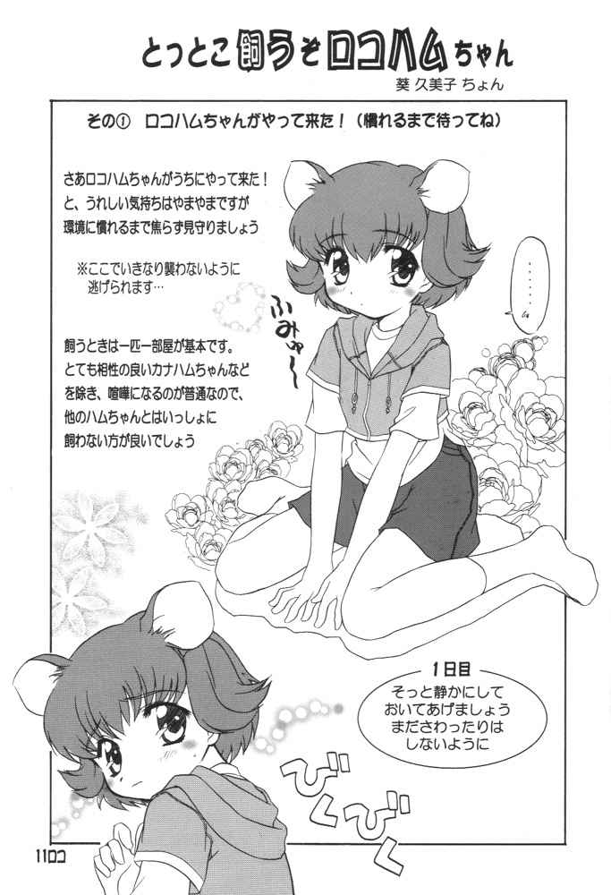 BM HAMTARO page 10 full