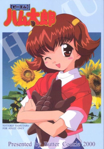 BM HAMTARO cover