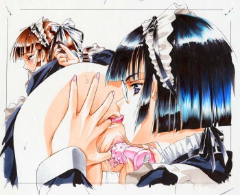 EverStray's package 2 cover
