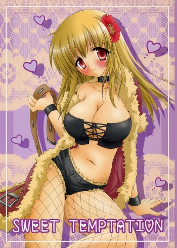 SWEET TEMPTATION cover