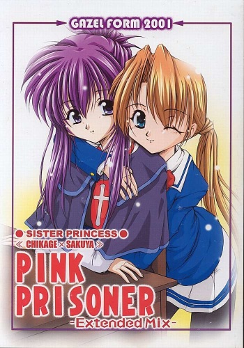 PINK PRISONER -Extended Mix- cover