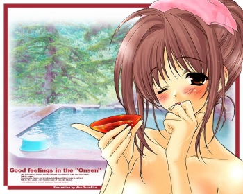 Hentai Collection Package 13 cover