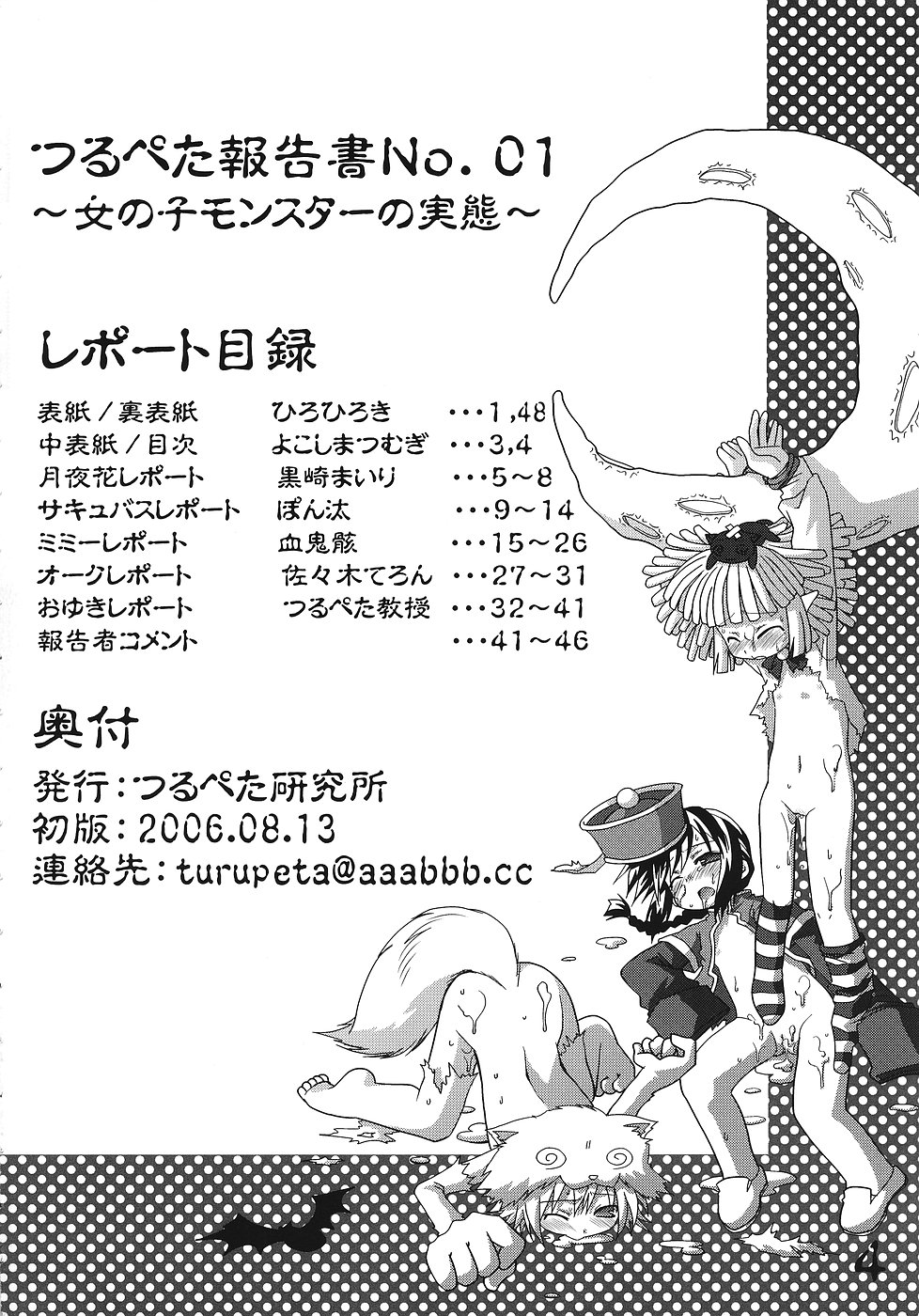 Tsurupeta Kenkyuu Houkokusho No. 01 ~Onnanoko Monster no Jittai~ page 3 full