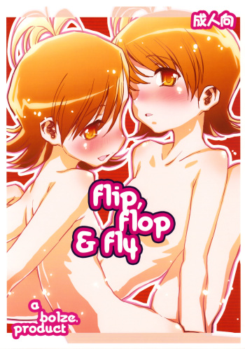 Flip, Flop &amp; Fly cover