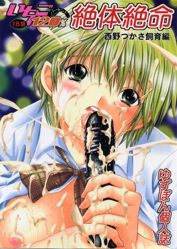 Ichigo 120% Zettai Zetsumei Nishino Tsukasa Shiiku hen cover