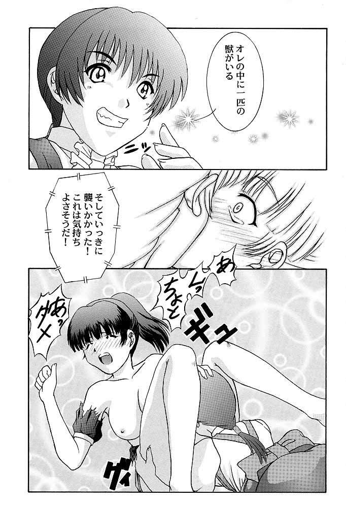 Secret File 002 Kasumi &amp; Lei-Fang page 8 full