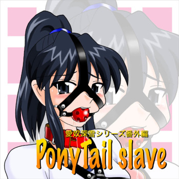 PonyTail slave cover