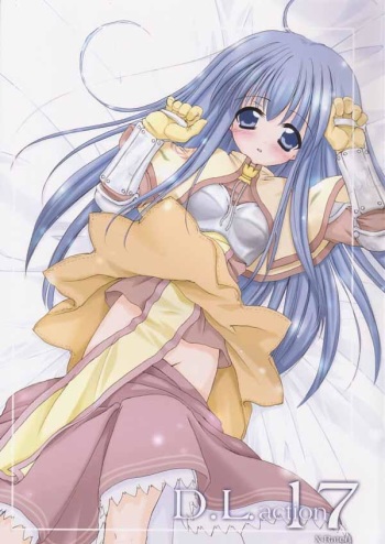 D.L.action 17 cover