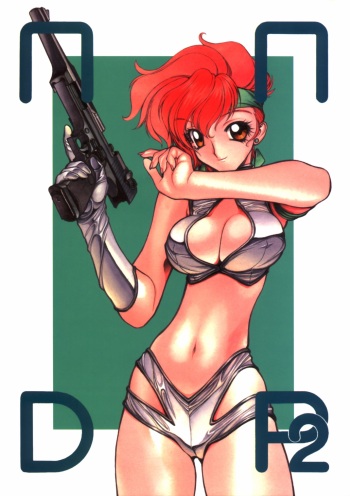 NNDP 2 cover