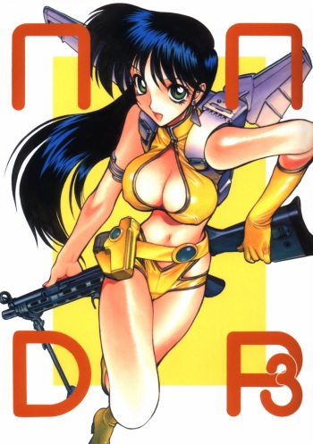 NNDP 3 cover