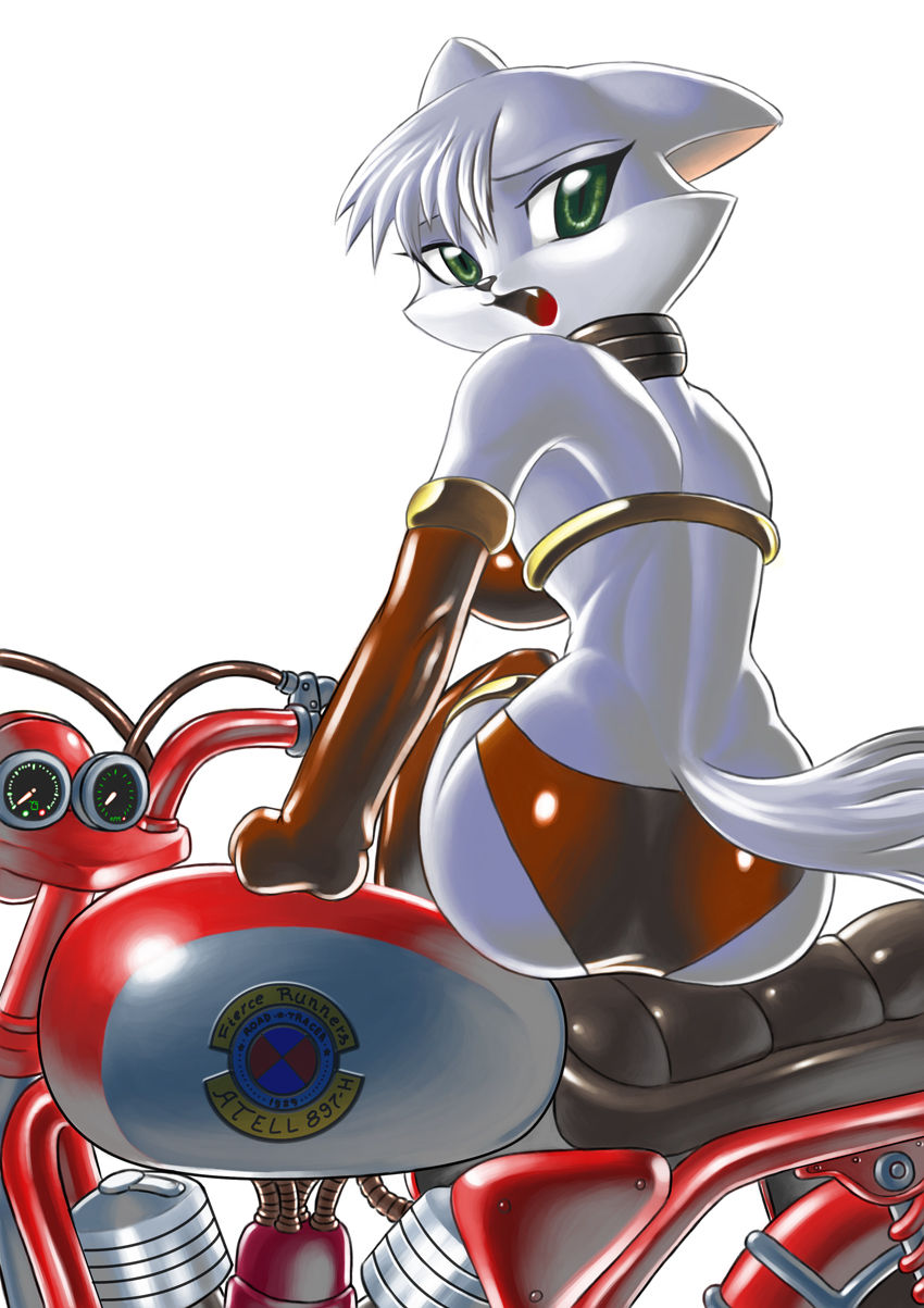 Furry cat and other pic collection page 9 full