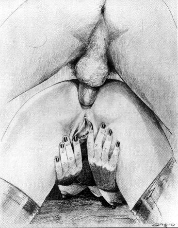 Anal Maximum page 6 full