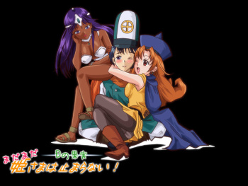 D no Kajitsu - Hime-sama wa Tomaranai! cover