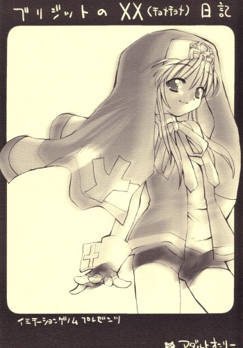 Bridget no Chome Chome Nikki cover
