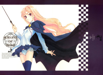 Servant of Zero cover