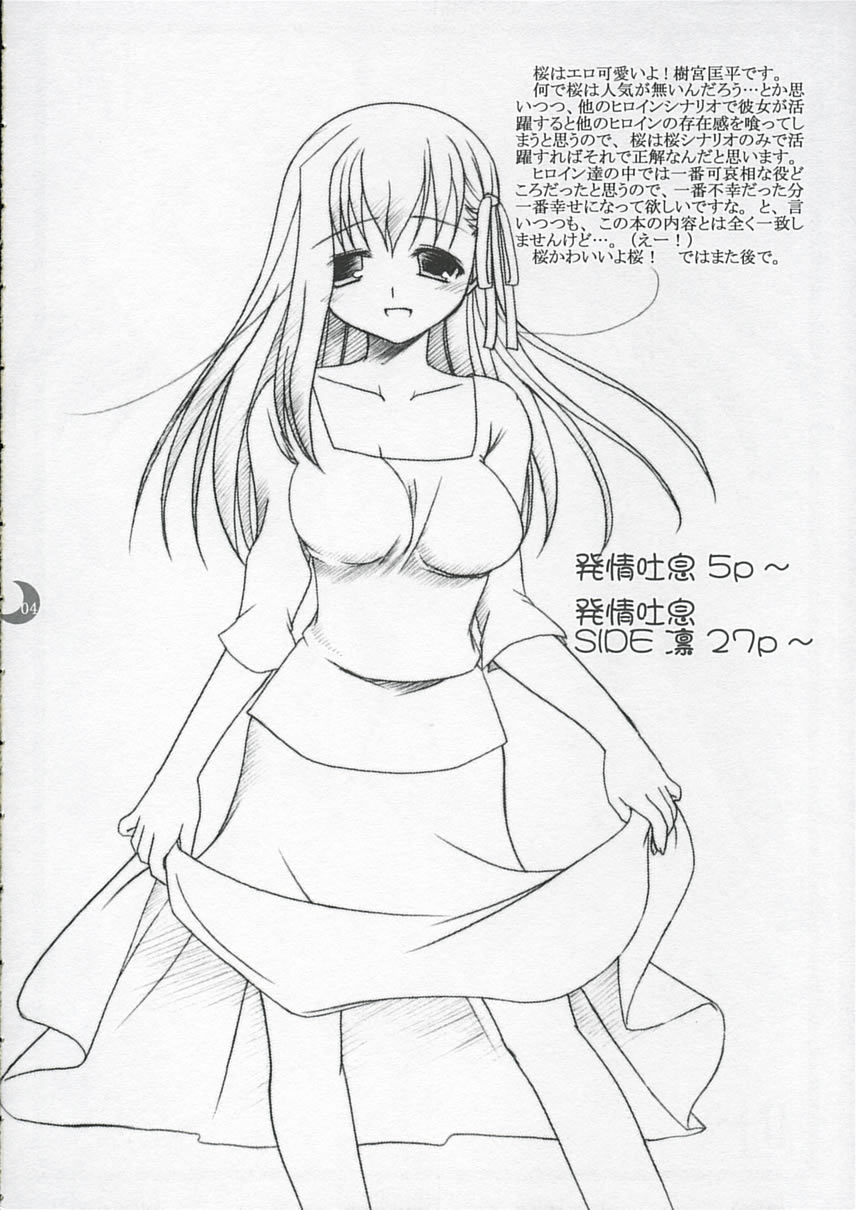 Hatsujou Toiki page 3 full